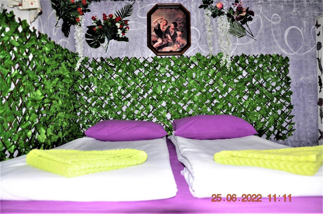 Social Guest House Sofia Buitenkant foto